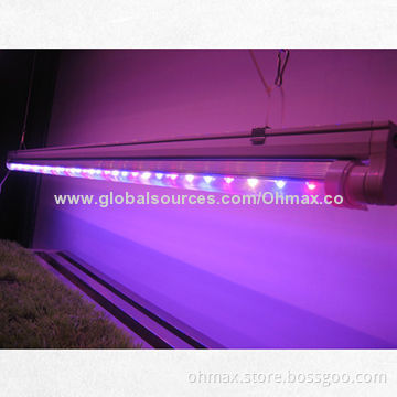 LED Poultry Grow Lighting for Egg Production of Turkey and Chicken for Poultry Farms